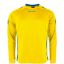 Afbeeldingen van Drive Match Shirt LS   
